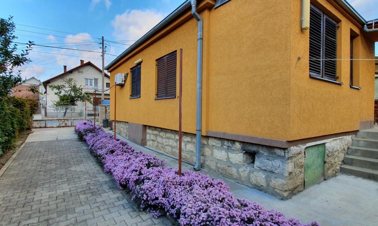 Guesthouse Stojanovic Negotin Exterior foto